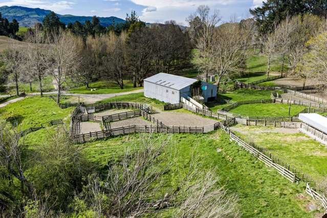 50 Little Bush Road Puketitiri_3