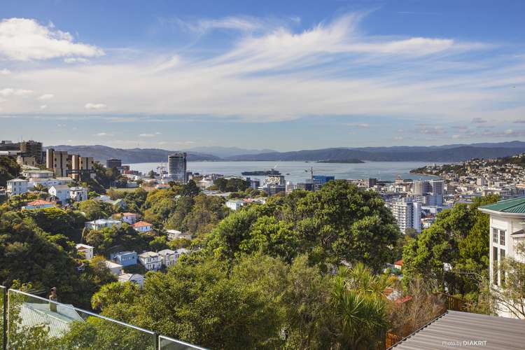 38 Mortimer Terrace Aro Valley_4