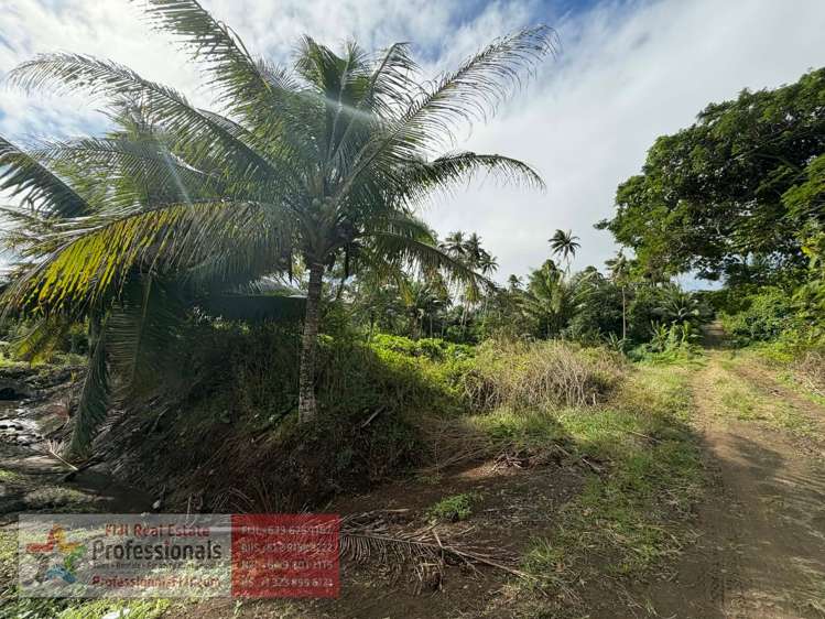 Address withheld Savusavu_11