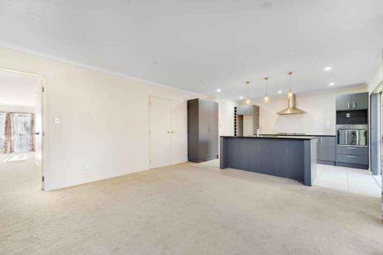 29 Coachman Drive Flat Bush_12