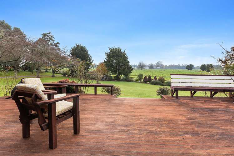 81D Horrell Road Morrinsville_8