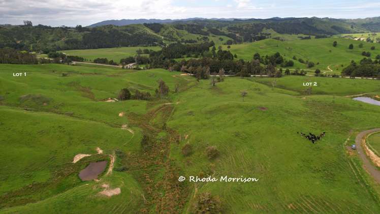 Golden Stairs Rd Maungaturoto_19