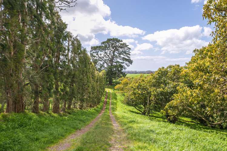 231 Walford Road Aongatete_34