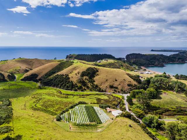 Mahinepua Road - Vineyard and Implement Sheds Mahinepua Peninsula_1