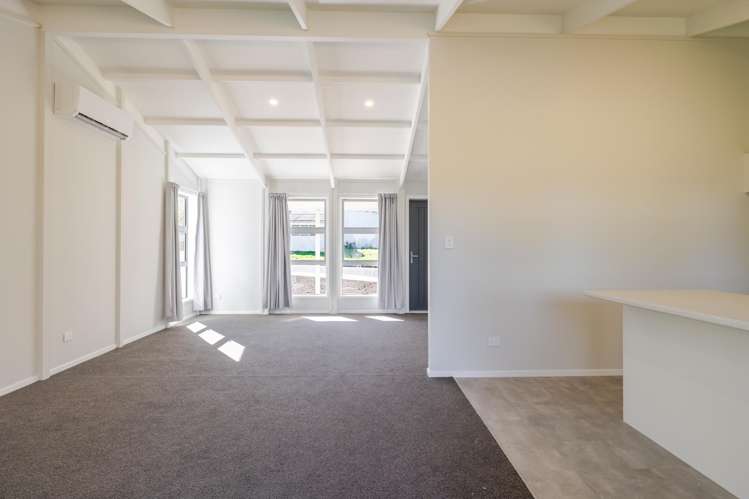 7 Fagan Street Bulls_10