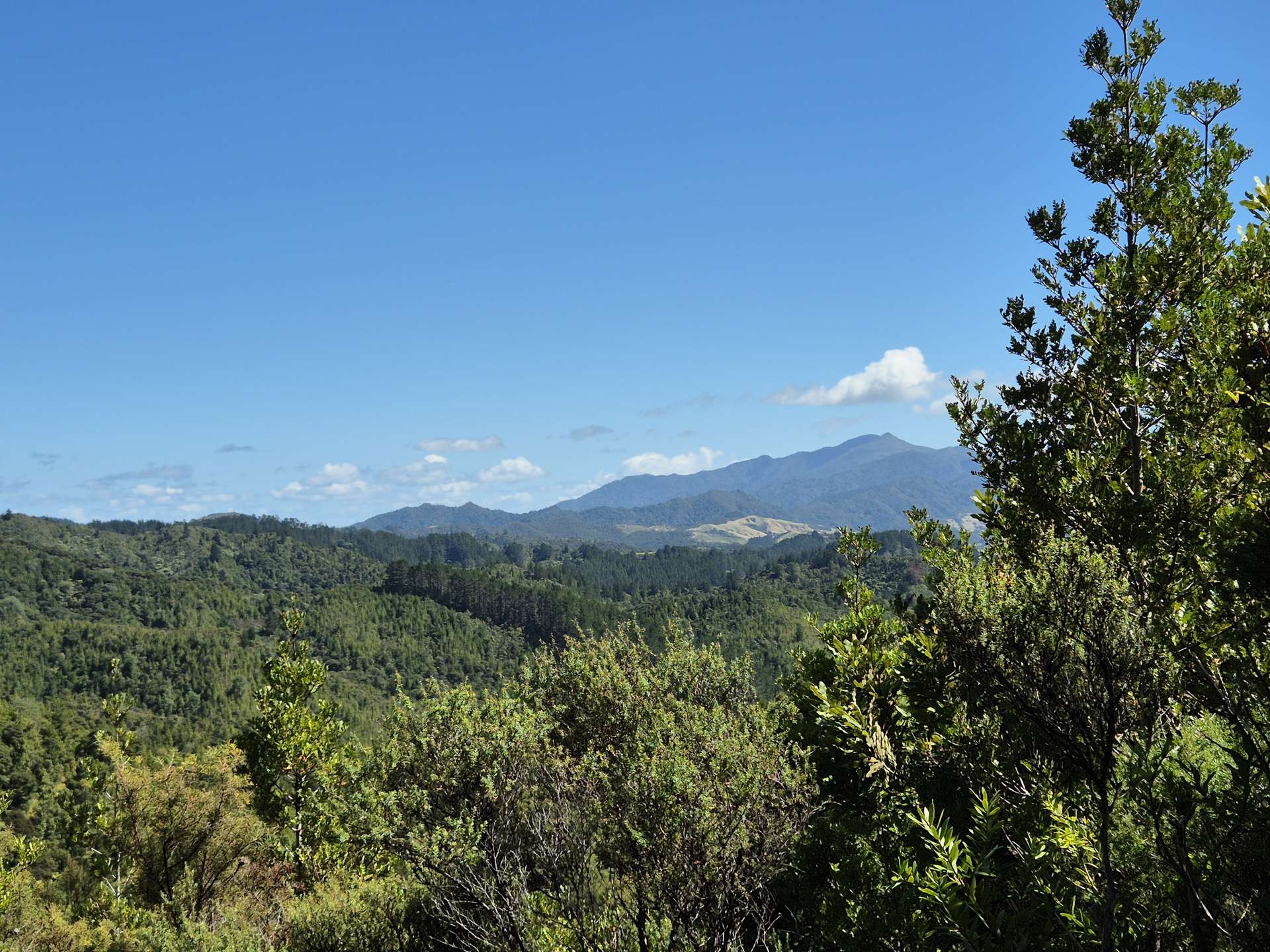 795 Tuateawa Road Waikawau_0