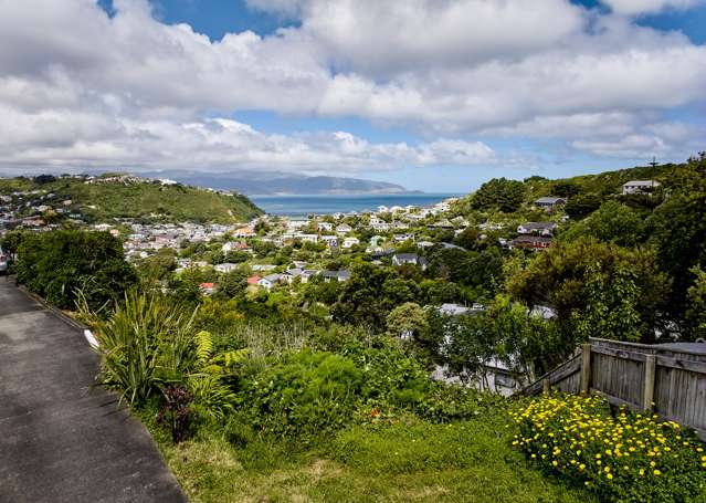 38a Frobisher Street Island Bay_1