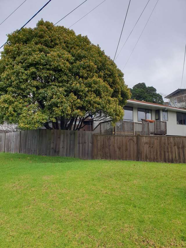 12A Kauri Road Stanmore Bay_2