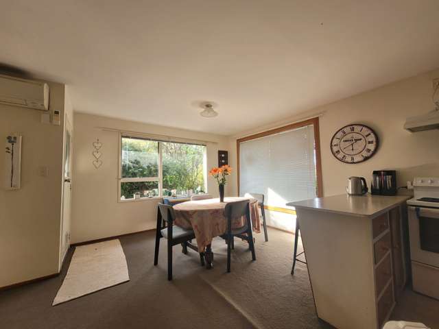 10 Reeves Road Opawa_4