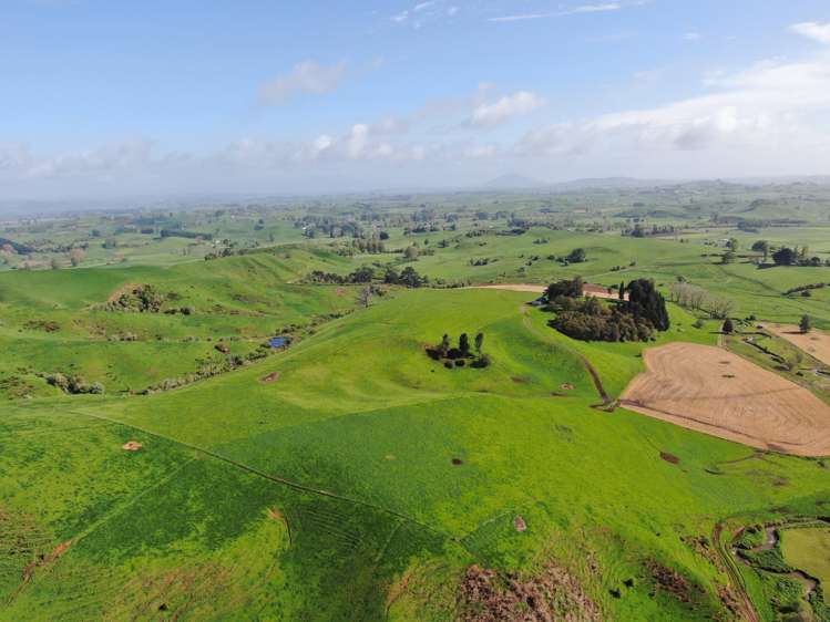 48 Barber Road Otewa_7