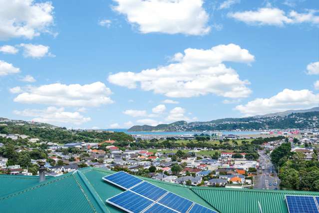 49 Tio Tio Road Miramar_4