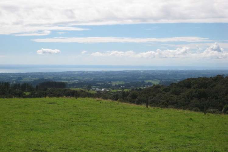 1113 Plymouth Road Koru_7