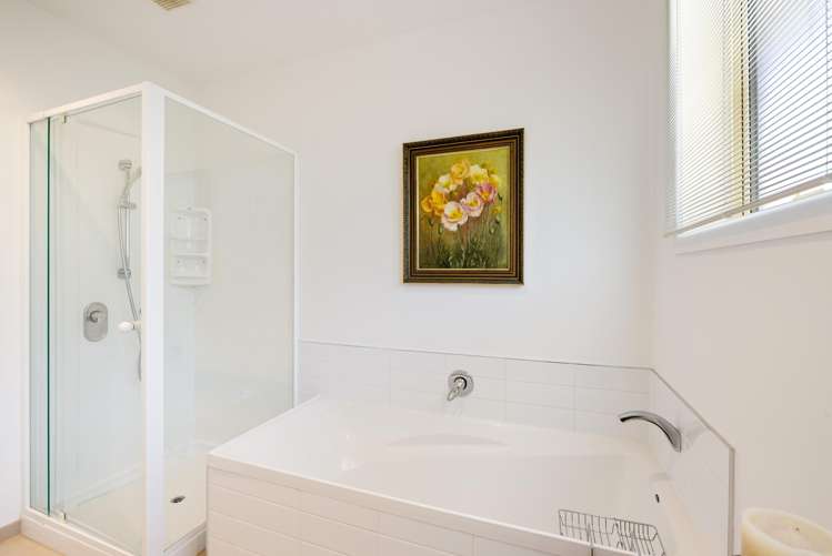 11 Michael Avenue Mount Pleasant_15