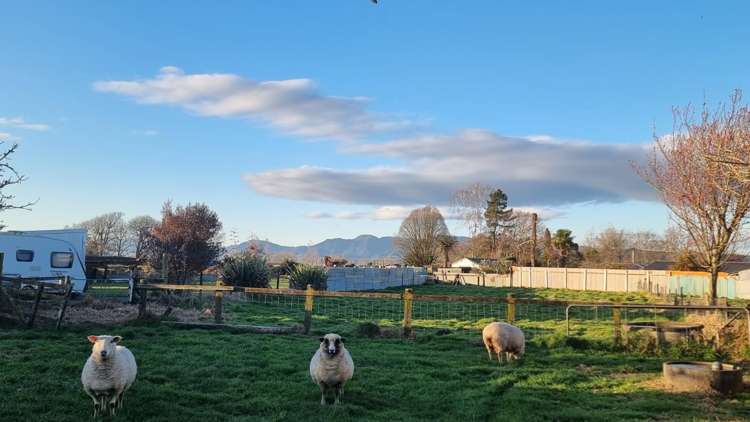 5 Dawson Street Matamata_27