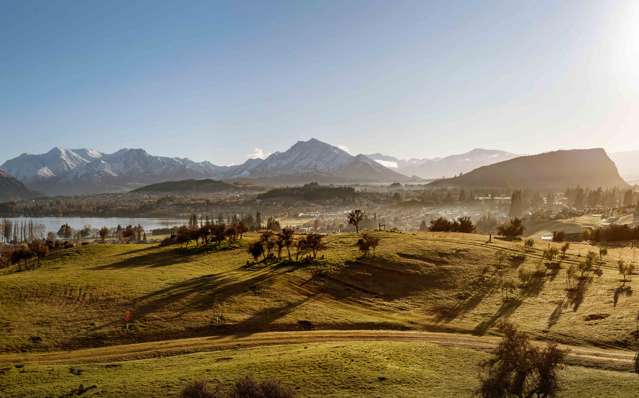 Top Paddock Wanaka_2
