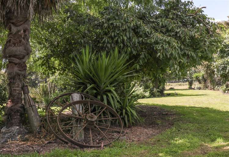 160 Endowment Road Te Aroha_20