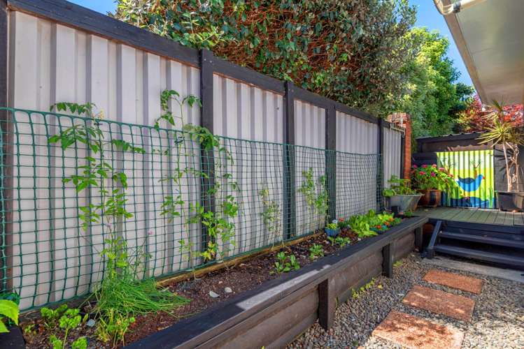 1/12 Parker Avenue New Lynn_10