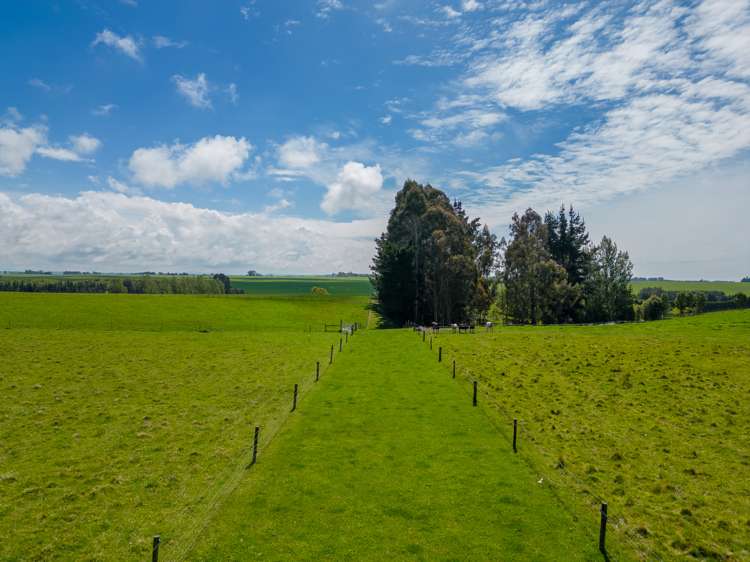 277 Hook School Road Makikihi_25