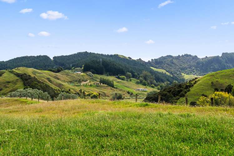 Lots 1-4 Proposed Subdivision, Goodwin Road Whataupoko_6