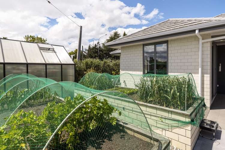 5 Corsair Crescent Blenheim_26