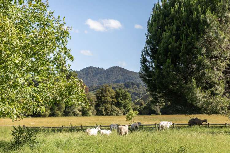 209 Franklin Road Waihi_34