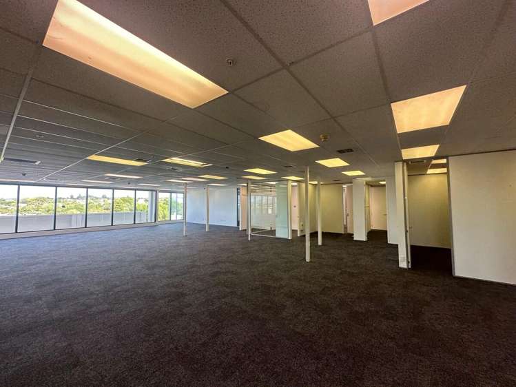 173 Captain Springs Road Onehunga_5