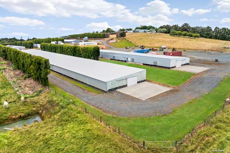 106 Rutherford Road Pukekohe East_2