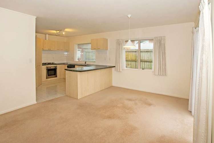 17e Cradock Street Avondale_5