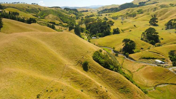 281 Takapu Road Takapu Valley_7