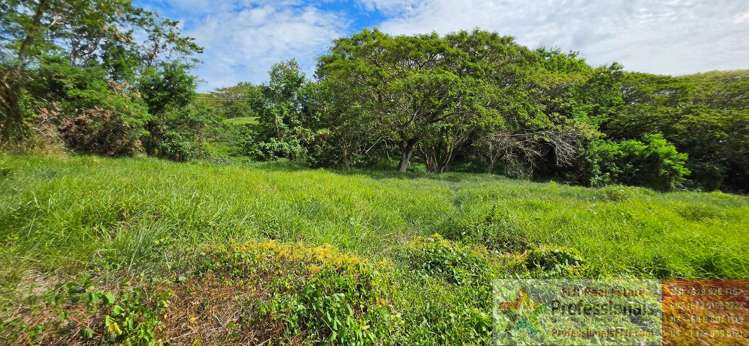 Address withheld Taveuni_10
