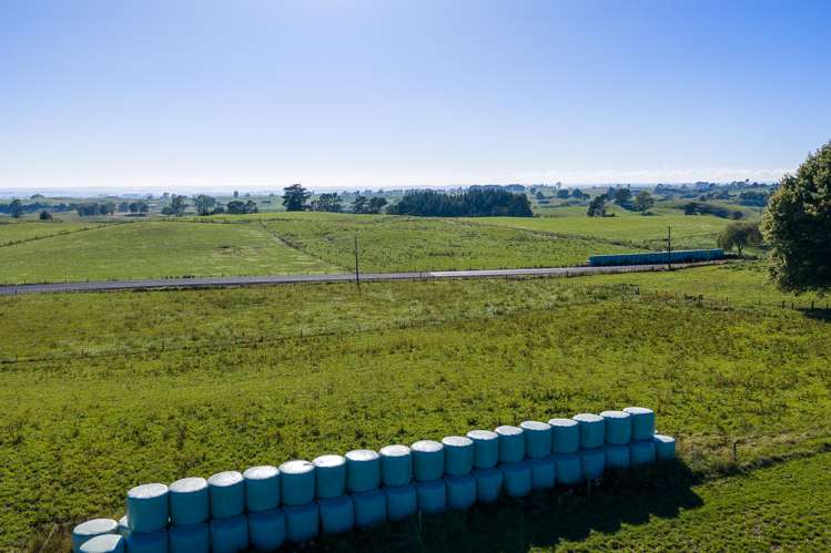 1888 Old Taupo Road Wiltsdown_10