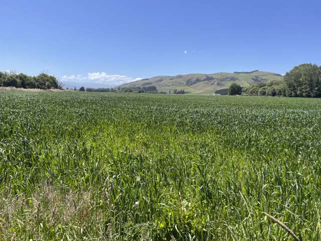 1049 Pyramid Waiparu Road Wendon_1