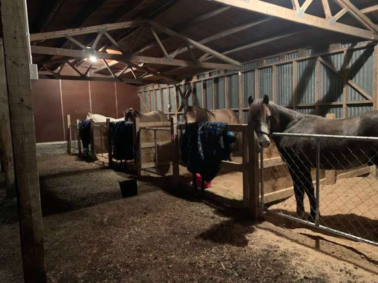 95 Frentz Road Pahia_26