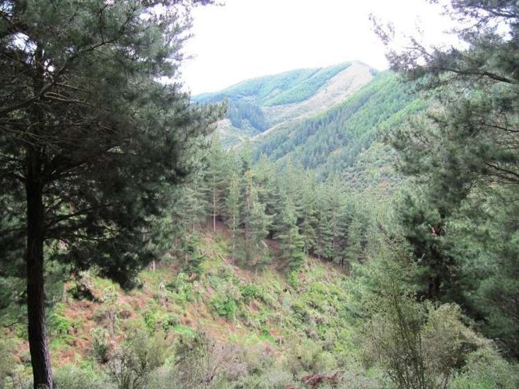 2213 Te Moana Road Geraldine_6