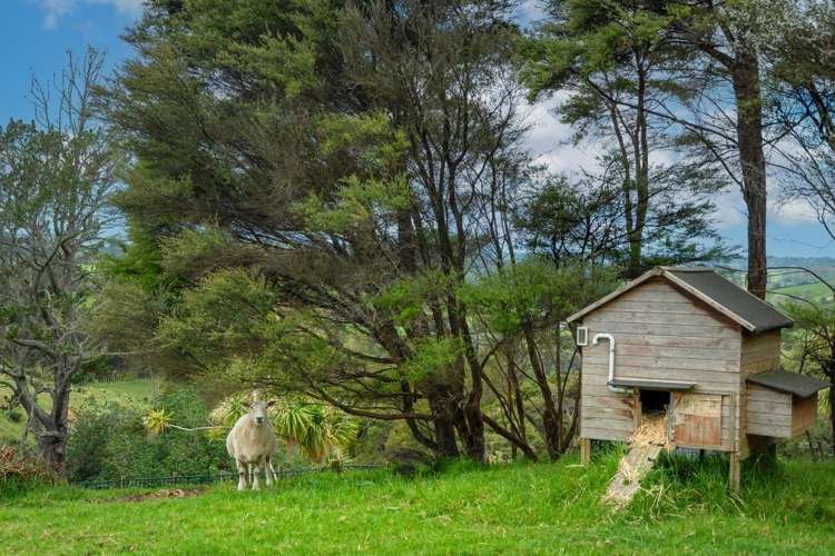 606 Blackbridge Road Waitoki_43