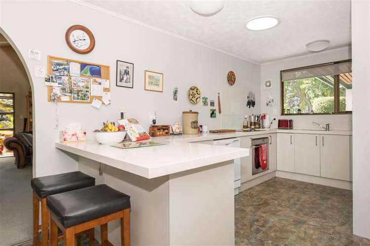 216 Neal Road Spring Creek_7