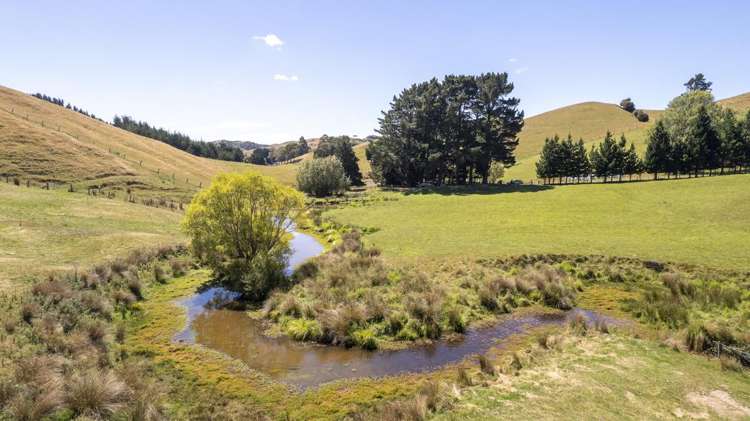247 South Road, Mauriceville Masterton_6
