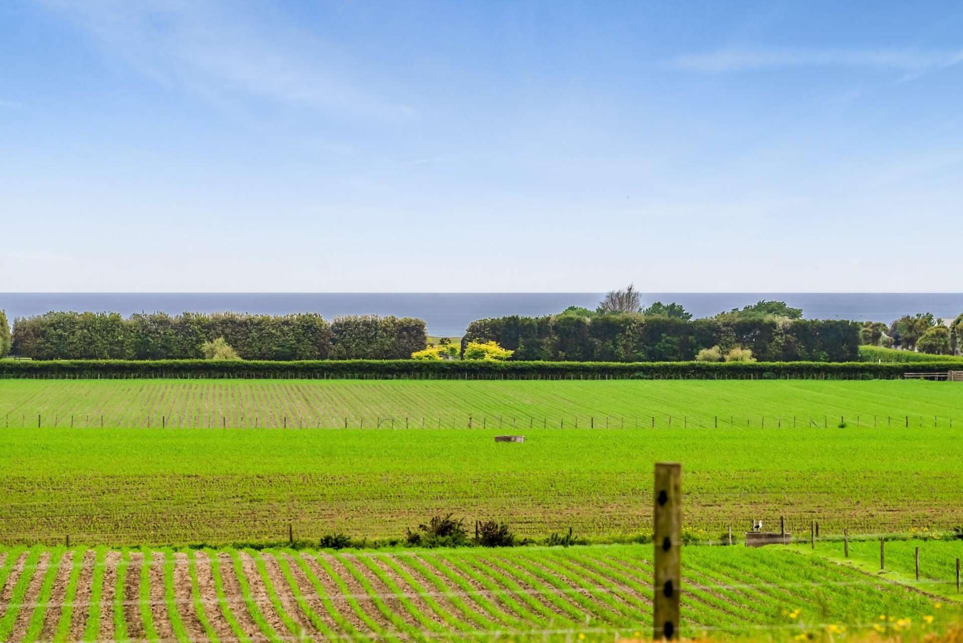 17 Ranfurly Street Waitara_0