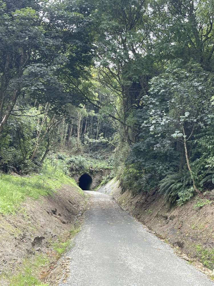 Manuka Gorge Highway Waitahuna_9