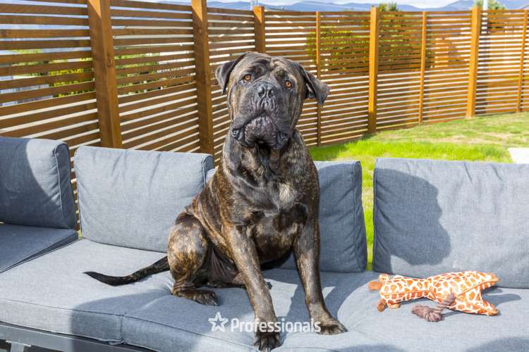 16 Mcewen Crescent Riverstone Terraces_20