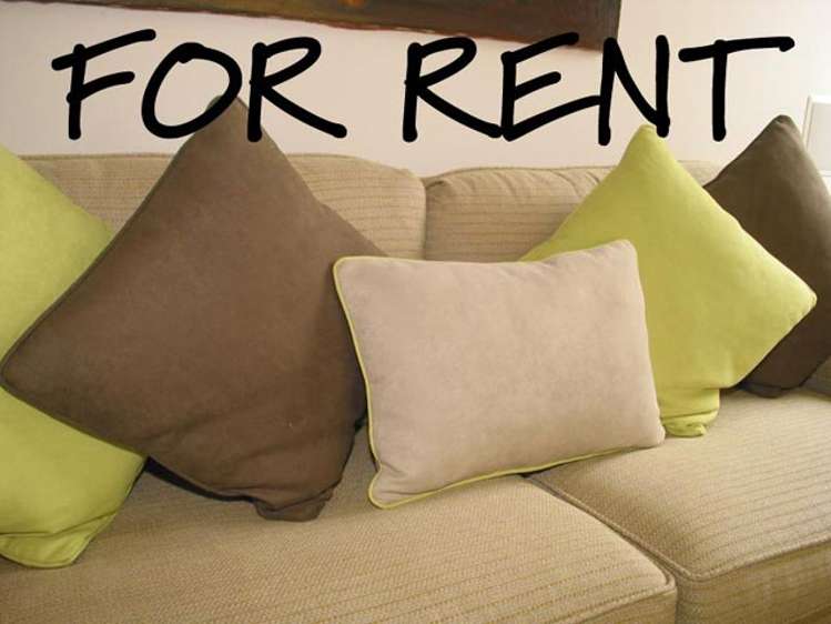 469 No 1 Road Te Puke_0