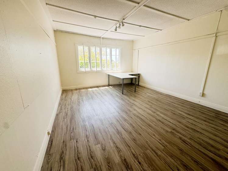 229 Parnell Road Parnell_10