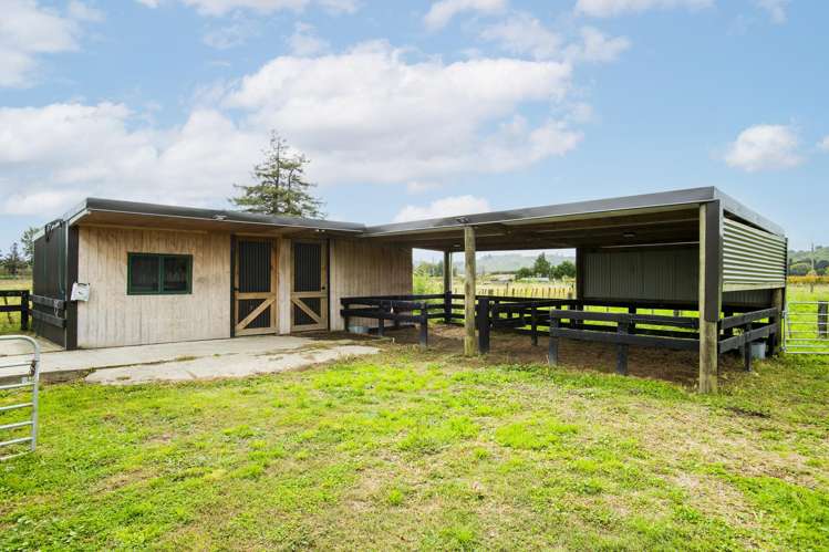 1290 Matawai Road Ormond_11