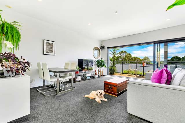 424b Richmond Road Grey Lynn_1