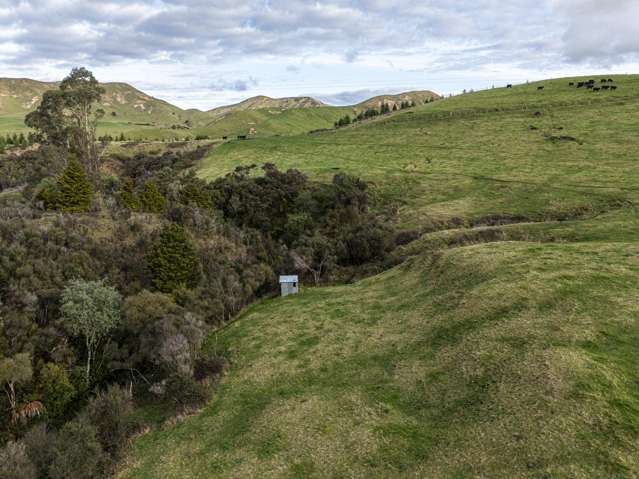 828 Matahorua Road Putorino_1