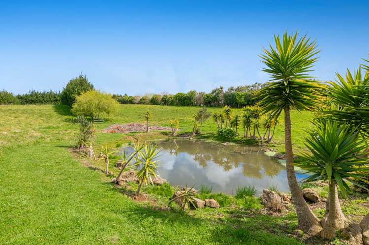 515 Fordyce Road Helensville_31