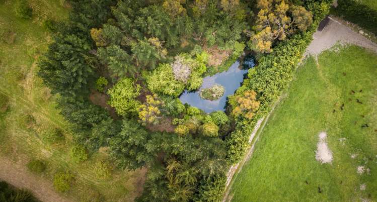 1837 West Coast Road Kirwee_16