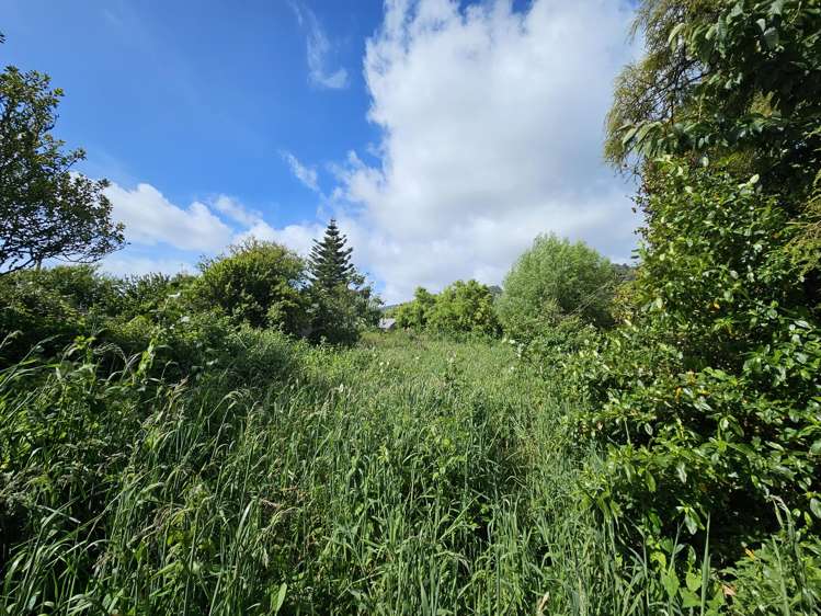 55 Nelson Quay Cobden_13