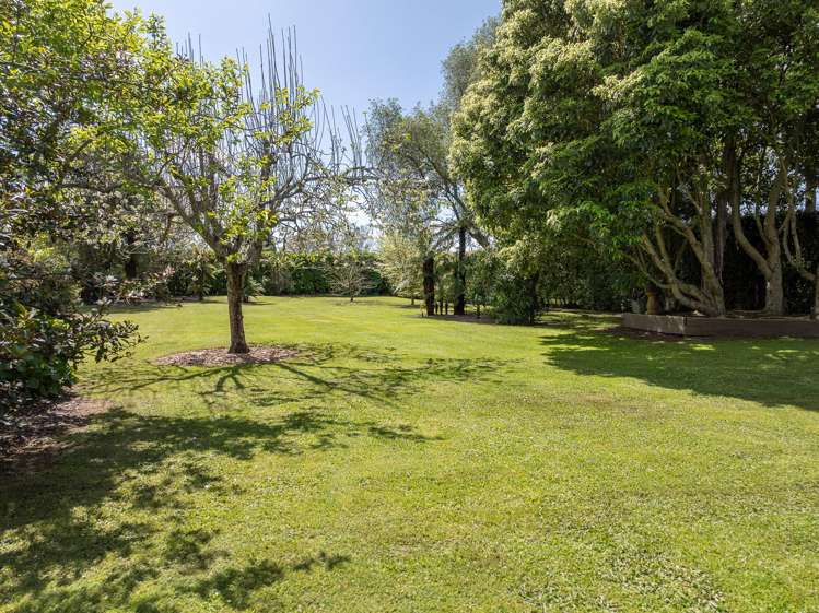 52A Lissette Road Newstead_12
