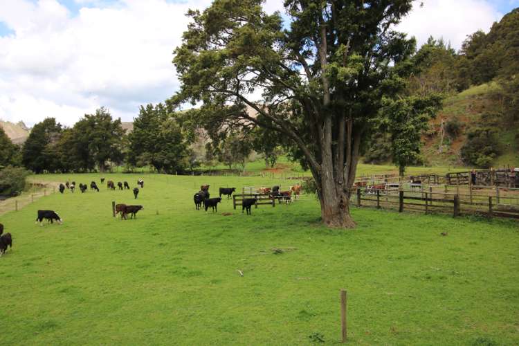 1659 Mataraua Road Kaikohe West_9